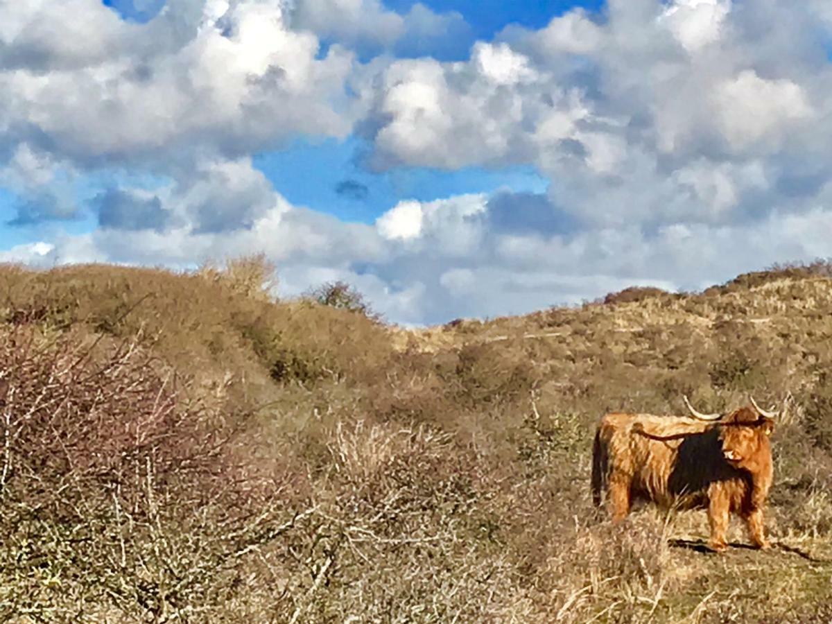 Апартаменты Achter De Duinen Зандфорт Экстерьер фото